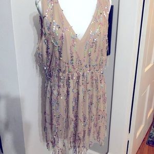 Souther fried chicks sequin beige dress